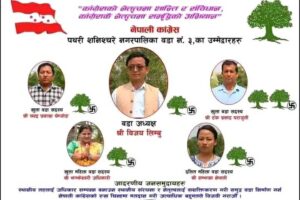 एमालेको लालकिल्ला तोडयो विजयले