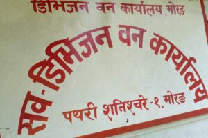 पथरीका जंगलबाट काठ चोरी तस्करी नभएको दाबि