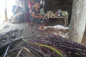 दैनिक २ हजारको उखुको जुस बेच्छन बास्तोला