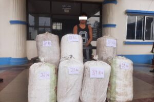 २ सय ८ किलो गाँजा सहित २ पक्राउ