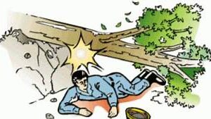 घरछेउको रुखले किचेर बृद्धको मृत्यु