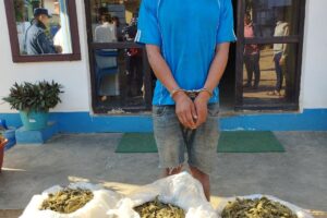 ६० केजी गाँजा सहित सरोज राई पक्राउ