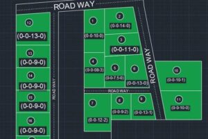 ३ महिना कैद सजायको लागी महिला जेल चलान