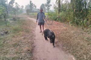 बिर पालन ब्यवसाय खस्कदै