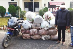 ३ सय ५० केजी गाँजा सहित २ जना पक्राउ