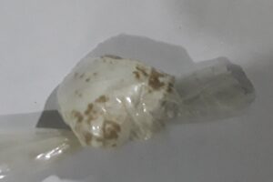 ब्राउन सुगर सहित २ जना पक्राउ