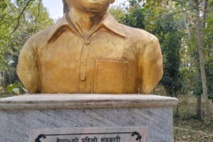 पथरीमा उभाइएको बखानसिंङ गुरुङको सालिक