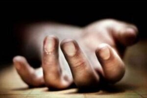 हात्तीलाई थापेको धरापमा परी मृत्यु