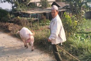 काँक्रा रोप्दा पैसा फल्यो