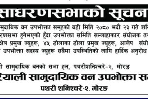 बक्राको बाँध धमाधम निर्माण हुदै