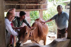 साढे ८ हजार पशुलाई खोप लगाई सक्यो