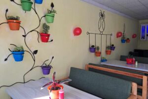 बिभिन्न परिकार पस्कदै बगैंचा सेकुवा घर संचालनमा