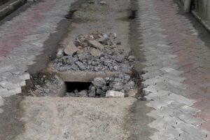 कौसी खेती बढाएर वडालाई अर्गानिक सागसब्जीमा आत्मानिर्भर बनाउछौं वडा अध्यक्ष राई