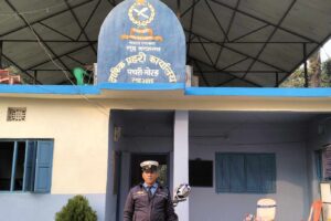 सिटीसफारी चालकसंग सडक अन्तरक्रिय गर्ने