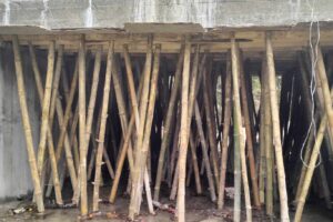 विकास निर्माणको कामले गति लिदै