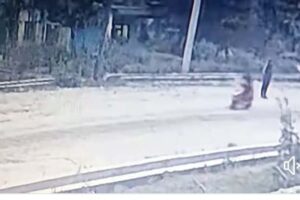 पथरीशनिश्चरेबाट स्कुटर लुटियो