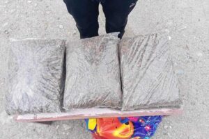 पथरीबाट ६ केजी गाँजा सहित १ पक्राउ