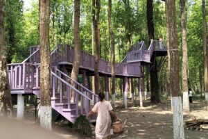 ब्यवसायीक पर्यटनको विकास गर्दै मनकामना सामुदायिक वन उपभोत्ता समुह