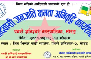 पथरी शनिश्चरेमा क्षमता अभिवृद्धि कार्यशाला