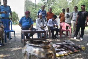बिसाक्त माछा पथरी प्रहरीले नियन्त्रणमा लिएर डिस्पोज