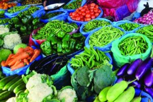 पथरी शनिश्चरे नगरमा कृषि क्षेत्रको अवस्था